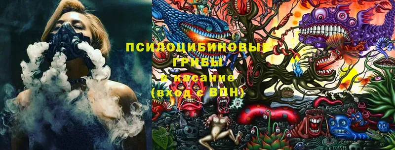 блэк спрут tor  Закаменск  Псилоцибиновые грибы Psilocybine cubensis 